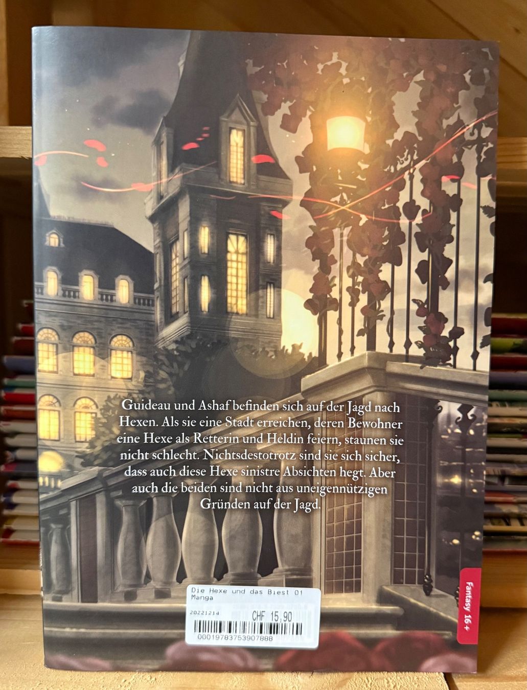 Fumetti: Manga: Die Hexe und das Biest – Nuovo (secondo la descrizione) da Triesen venduto da cla_q2js 1