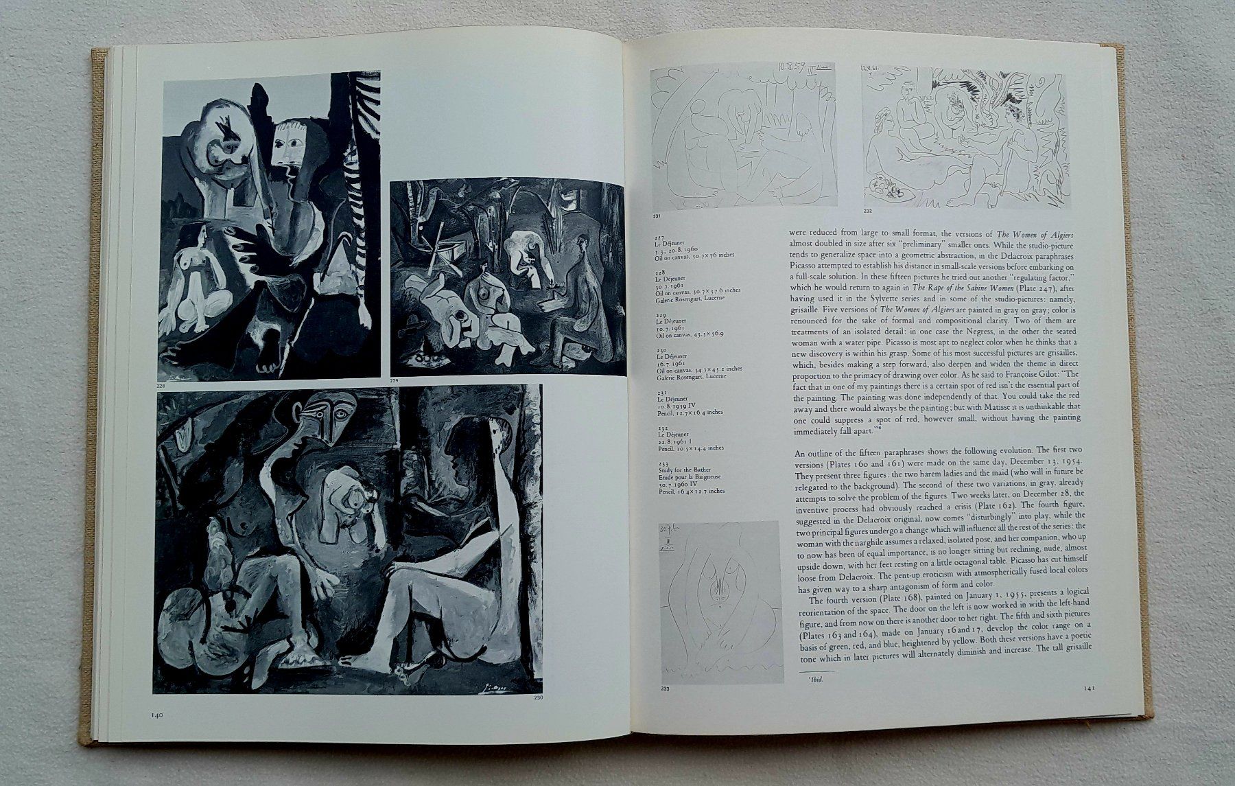 Libri: Picasso at 90 'The late work' – Usato da Samstagern venduto da Karibik64 3