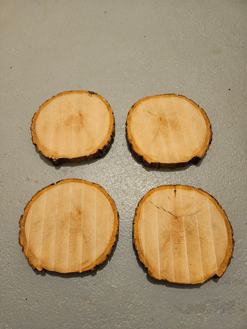Articoli in legno: Rundholzscheiben/Baumscheiben – Nuovo (secondo la descrizione) da Brunnen venduto da kent03