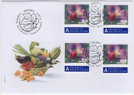 100 Rp. Kiefelerbse Einzelmarken auf illustriertem FDC