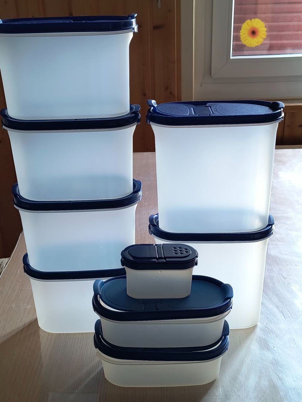 Tupperware Contenitori & Simili: Tupperware 9 teiliges Aufbewahrungsbehälter Set – Usato da Neuhausen am Rheinfall venduto da VALAMA 1
