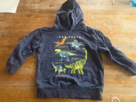 C&A Dino Hoodie Gr. 116/6J - Perfekt für den Herbst!
