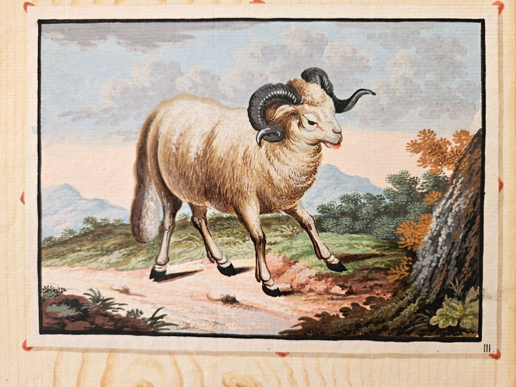 Gemälde: Anonym Ende 18.Jh. "Widder in Landschaft" – Gebraucht aus Wisen SO von gralstrand
