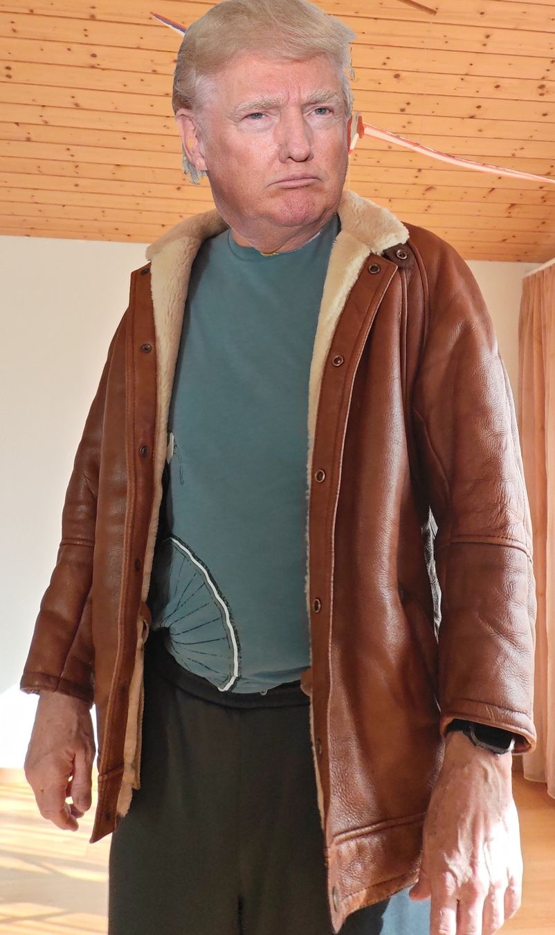 Giacche: Winter Herren Lederjacke mit Lammfell – Usato da Volketswil venduto da Breiti37