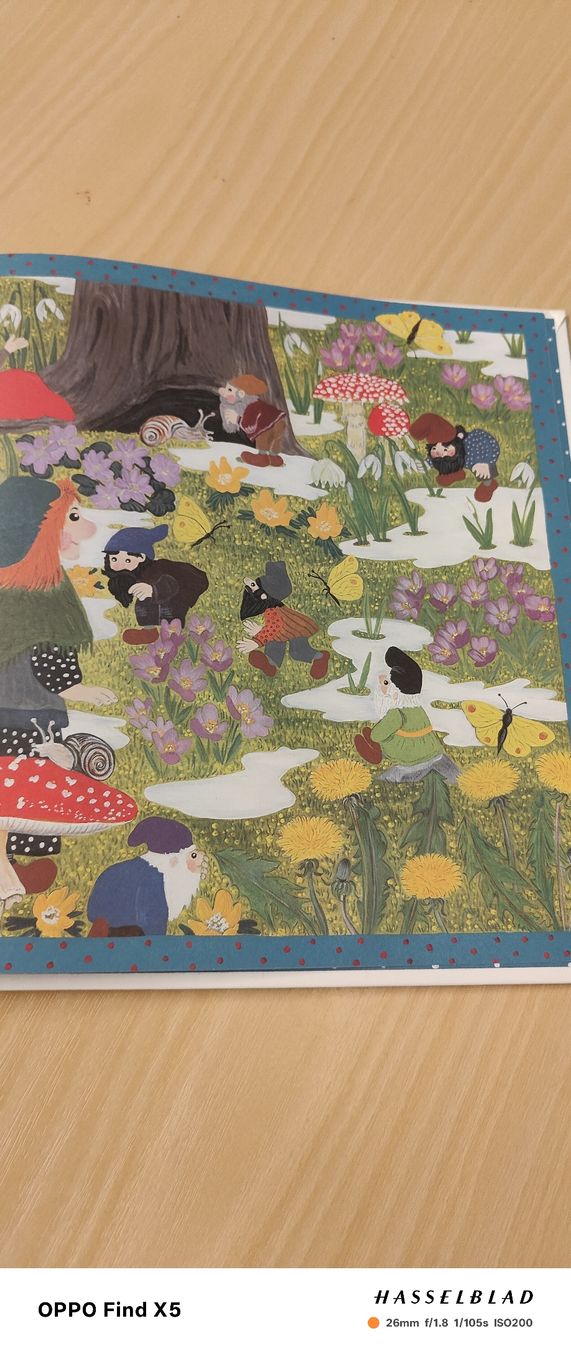 Livres: Muggestutz de Haslizwerg – Neuf (Voir description) à Volken par katz5 4