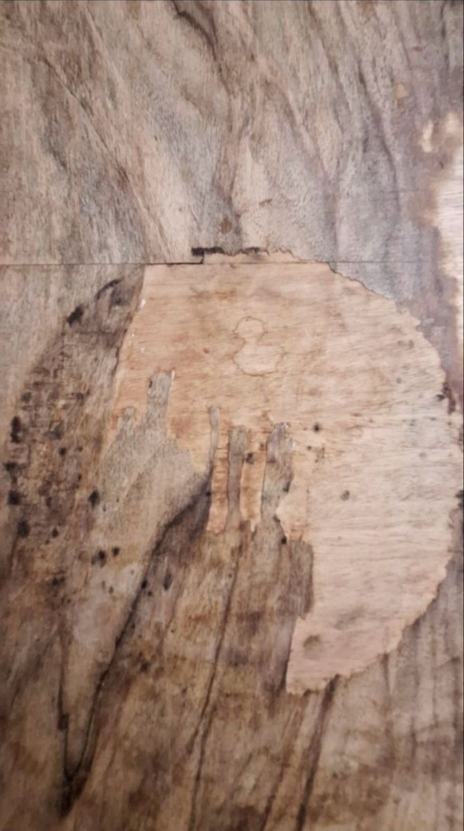 Tavoli: Esstisch aus Holz – Usato da Zürich venduto da olivilo812 3