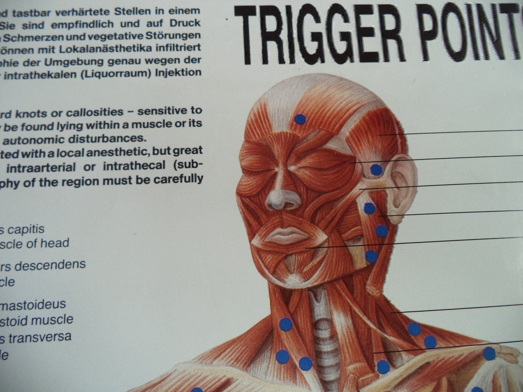 Posters & Illustrations: Konvolut Rüdiger Anatomie Hänge Bilder – D'occasion à Rieden AG par Wirth03 5