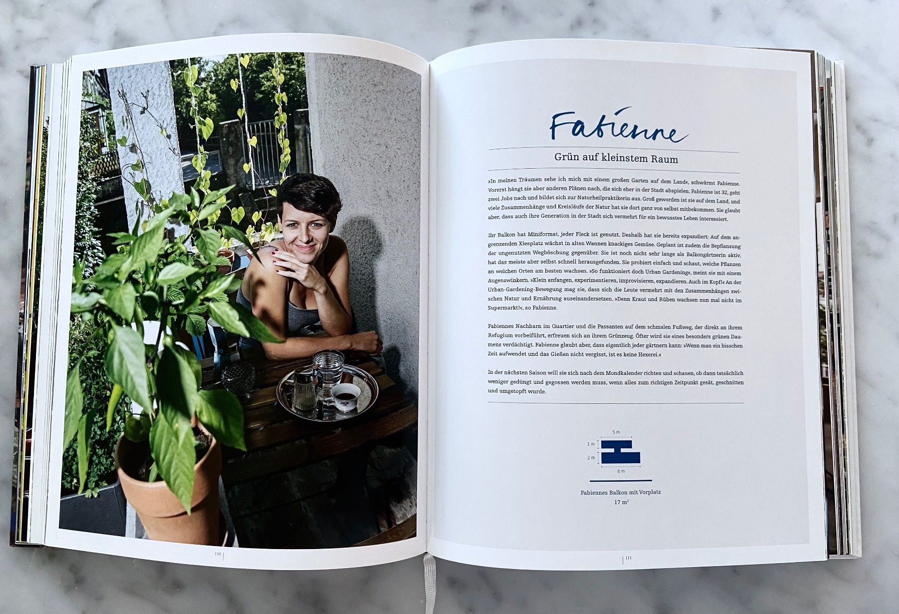 Libri: Veranda Junkies, Cornel Rüegg, Sabine Reber – Usato da Zürich venduto da eschwe 4