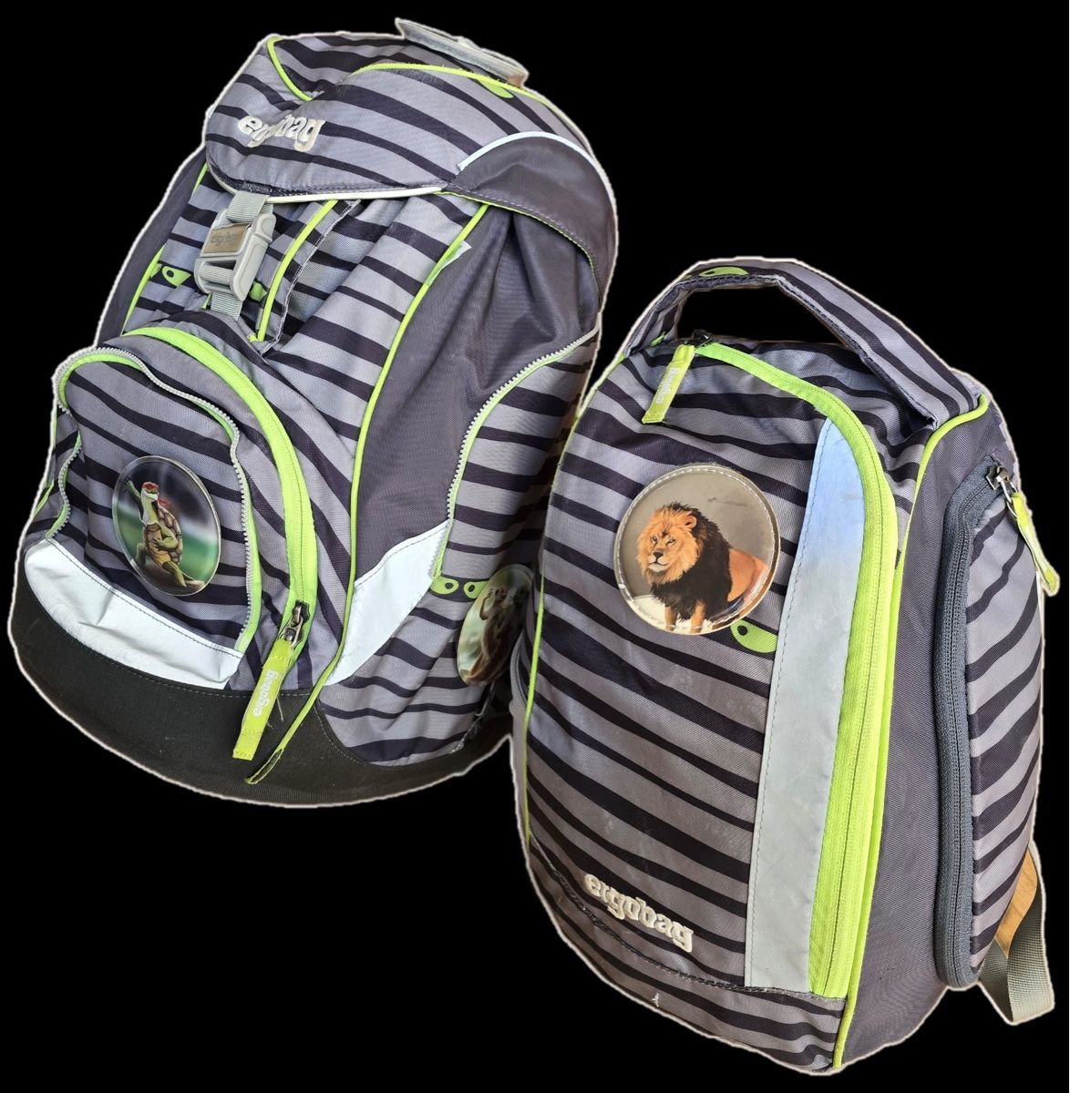 Ergobag Kindertaschen: ergobag Schulrucksack – Gebraucht aus Zürich von morgarten09 1