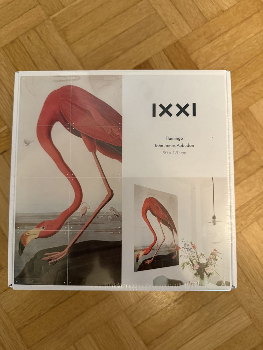 Foto & Immagini: IXXI Flamingo 80x120 cm – Nuovo e nell'imballaggio originale da Zürich venduto da vh.8038