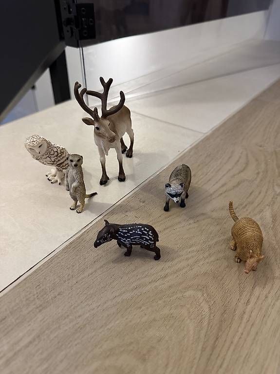 Giocattoli: Schleich Wald und Wildtiere – Usato da Niederhasli venduto da des_f82m