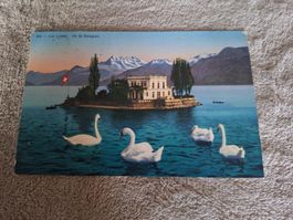 Antike Ansichtskarte Lac Leman Ile de Salagnon Schweiz