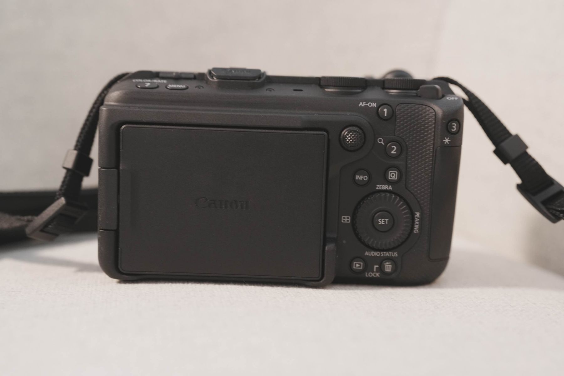 Canon Fotocamera: Canon EOS R6 V – Usato da Goldau venduto da mirror6677 4