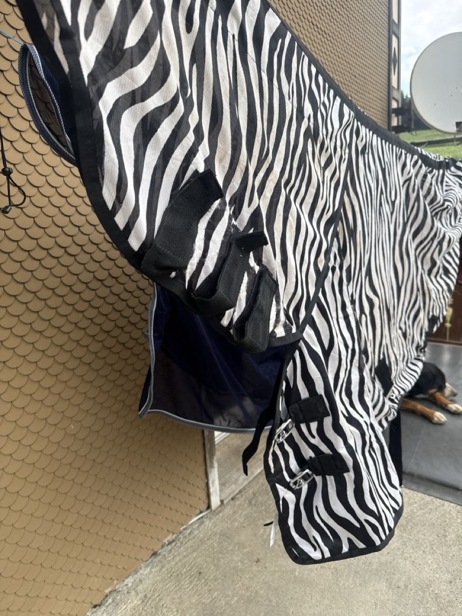 Felix Bühler Decken: Fliegendecke Zebra Muster 115cm – Gebraucht aus Ebersecken von Dijkie 2