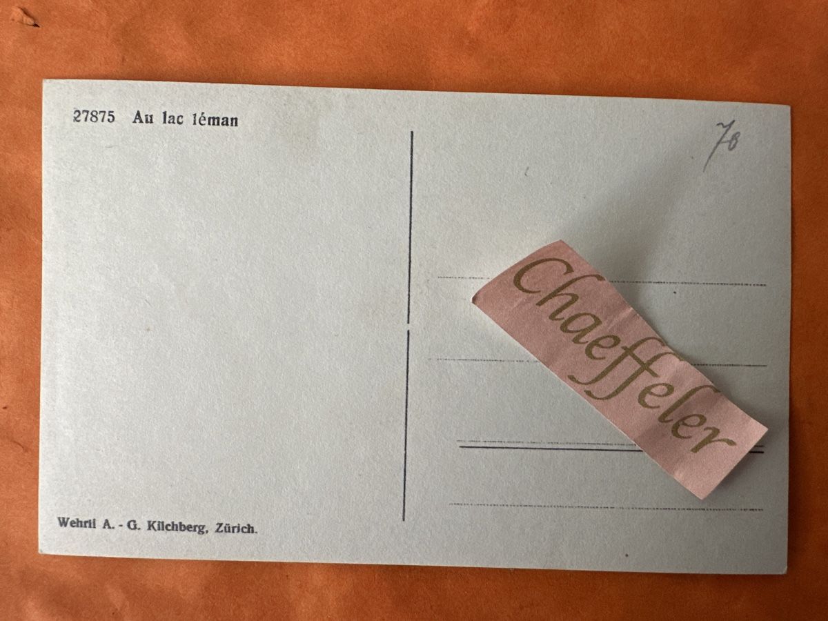 Cartoline postali: 27875 Au Lac léman – Usato da Zürich venduto da Chaeffeler 1