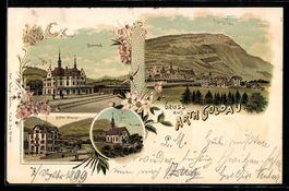 Lithographie Arth Goldau, Bahnhof, Hotel Steiner, Ortsansich