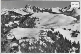 Flugaufnahme Skigebiet Klewenalp