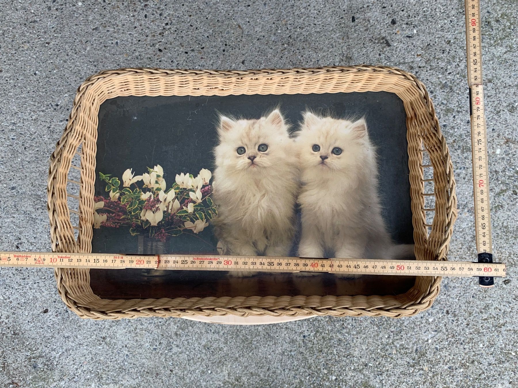 Campanacci mucche: schönes Tablar mit Katzen – Usato da Feldbach venduto da Olive1 4