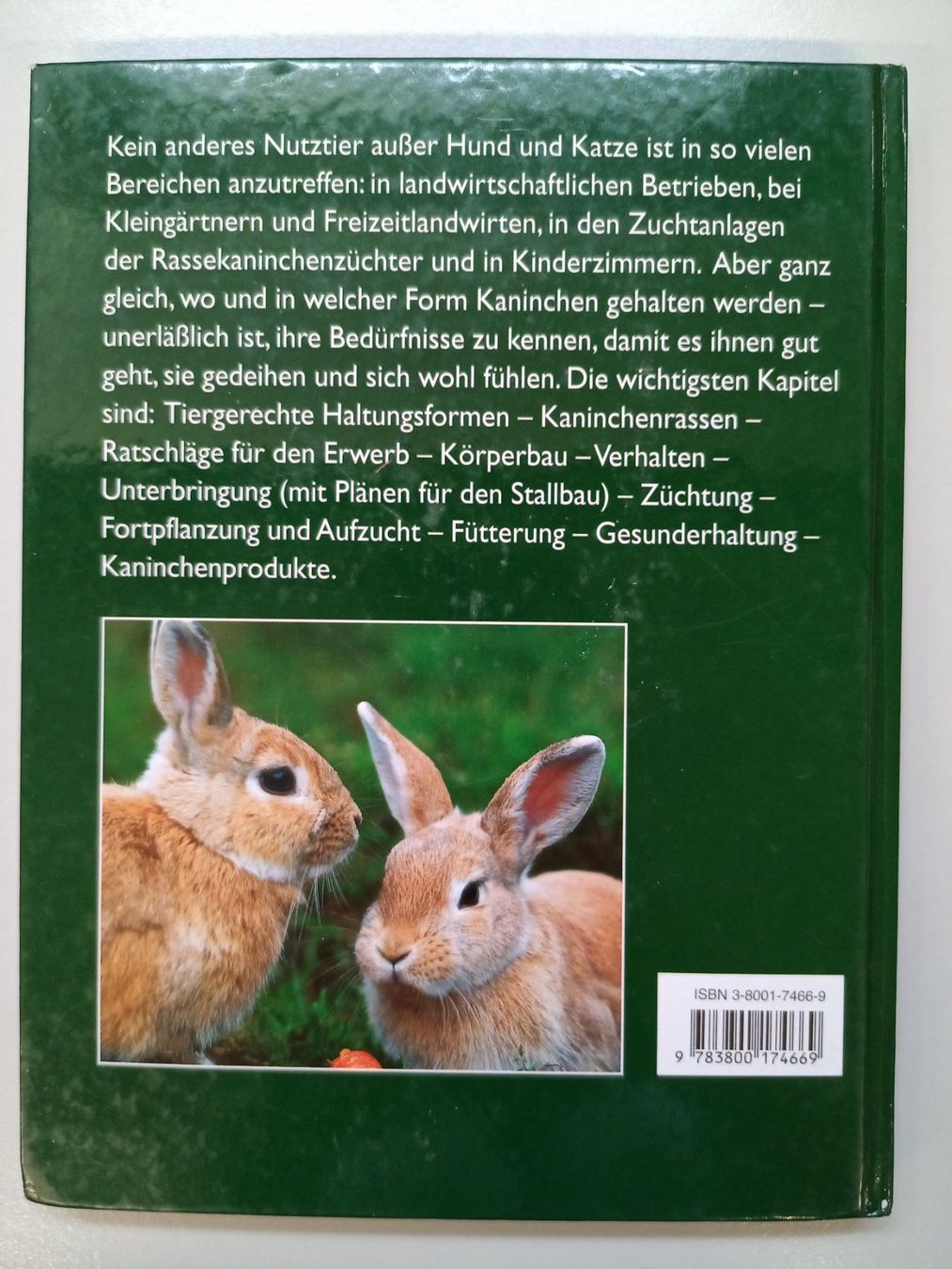 Libri: Peter Grün - Kaninchen halten – Usato da Oberegg venduto da A-Z.Handel.Loehrer 2