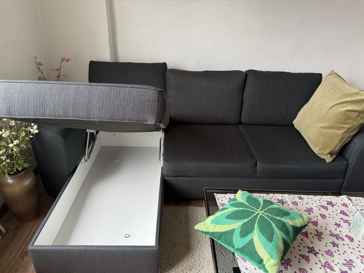 Divani: Sofa – Usato da Schlieren venduto da Flower5 1