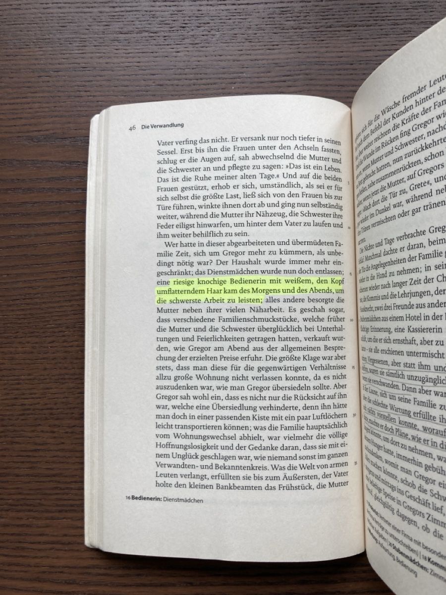 Libri: Die Verwandlung – Usato da Basel venduto da mer_yx9k 3
