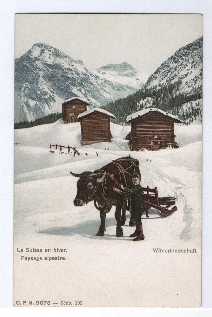 Cartoline postali: WINTERLANDSCHAFT Kind & Ochsen-Schlitten – Nuovo (secondo la descrizione) da Jona venduto da philajona