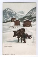WINTERLANDSCHAFT Kind & Ochsen-Schlitten