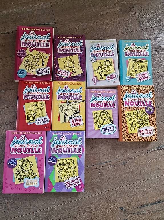 Bücher: Le journal d'une grosse nouille – Gebraucht aus Corcelles-près-Concise von picsou999