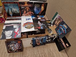 Schallplattensammlung 1 ca 300 Lps Rock Pop Reagge usw