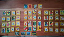 Panini FIFA World Cup 2026 Sticker