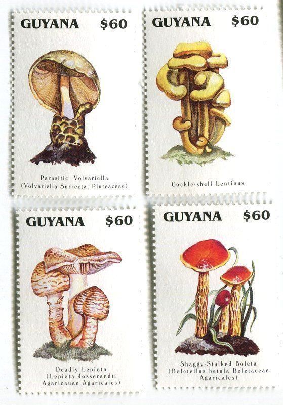 Tous les timbres: Briefmarken "Pilze". Guyana. – Neuf avec emballage d'origine à Basel par Butsch5