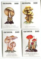 Briefmarken "Pilze". Guyana.