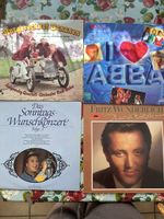 Schallplatten Sammlung mit diversen Genres
