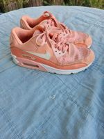Nike Air Max- wunderbare Farbe