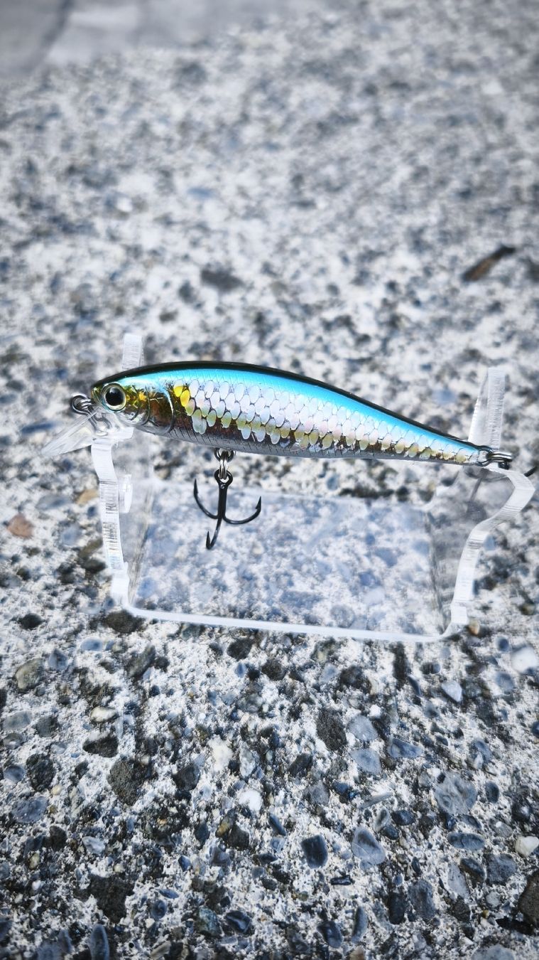 Appâts: Lucky Craft Pointer SP 65 – Neuf (Voir description) à Sarnen par sebalant