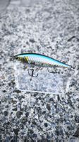 Lucky Craft Pointer SP 65