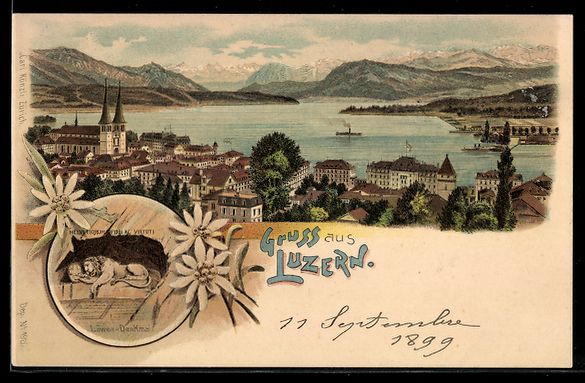 Cartoline postali: Litho Luzern, Ortsansicht aus der Vogels – Usato da Berlin venduto da bartko-reher
