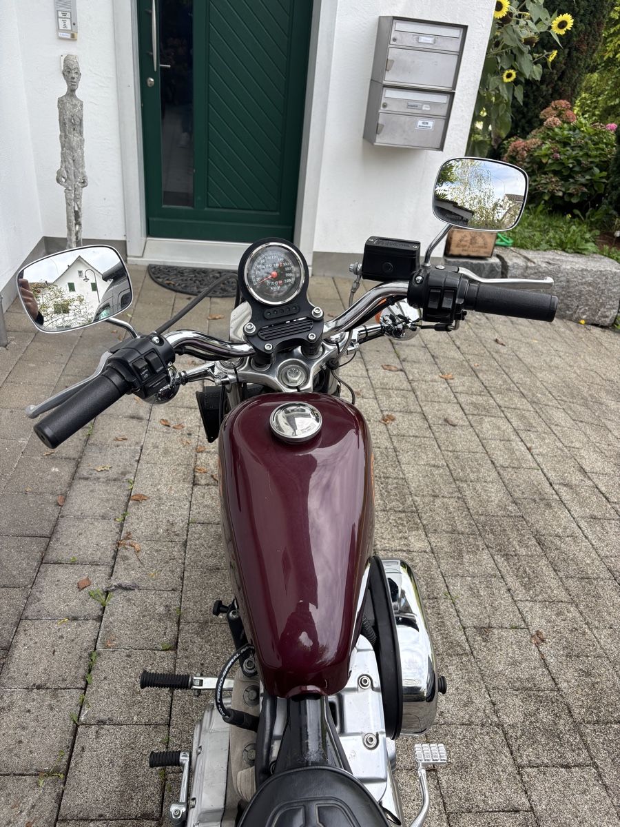 Chopper: Harley Davidson Sportster – Gebraucht aus Grüningen von Diego.sabater 3