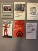 Bücher / berndeutsch