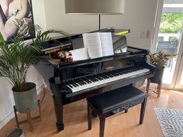 Piano à queue George Steck GS-162 (Noir Brillant)
