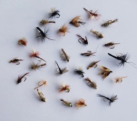 Esche: 50 Stück verschidene Fliege – Nuovo e nell'imballaggio originale da Kehrsatz venduto da CIVOMILES