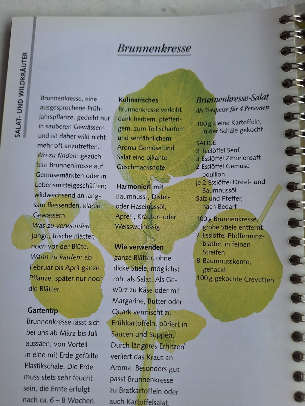 Libri: 3 STK DIV. GARTENBÜCHER – Usato da Huttwil venduto da Kunterbuntli 3