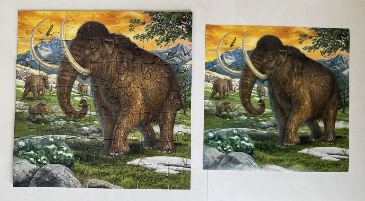 Ravensburger Puzzles: Ravensburger - 3 puzzles 3x49 pcs, 4-5 ans – Gebraucht aus Genève von valmath 3