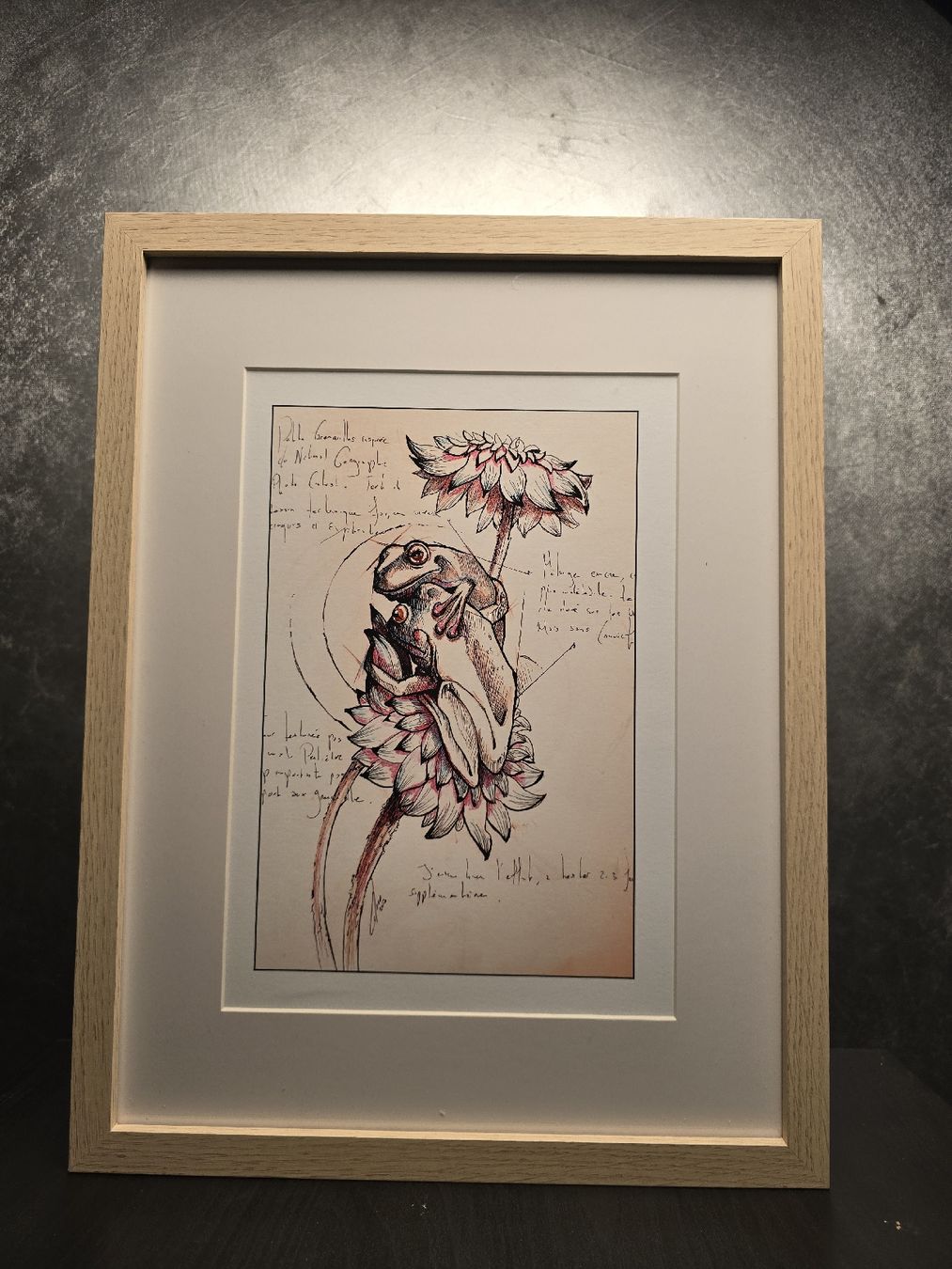 Gemälde: Reproduction Dessin grenouilles, fleur, encadré – Neu und originalverpackt aus Champagne von LoomiStudio