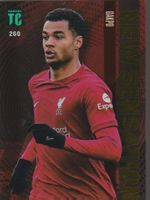 PANINI TOP CLASS 2023 New Sensation Card FOIL 260 CODY GAKPO