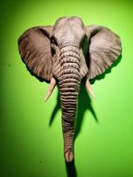 Elephant Bali 32cm