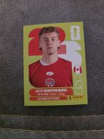 Panini WM 2026 CAN 14 Shaffelburg