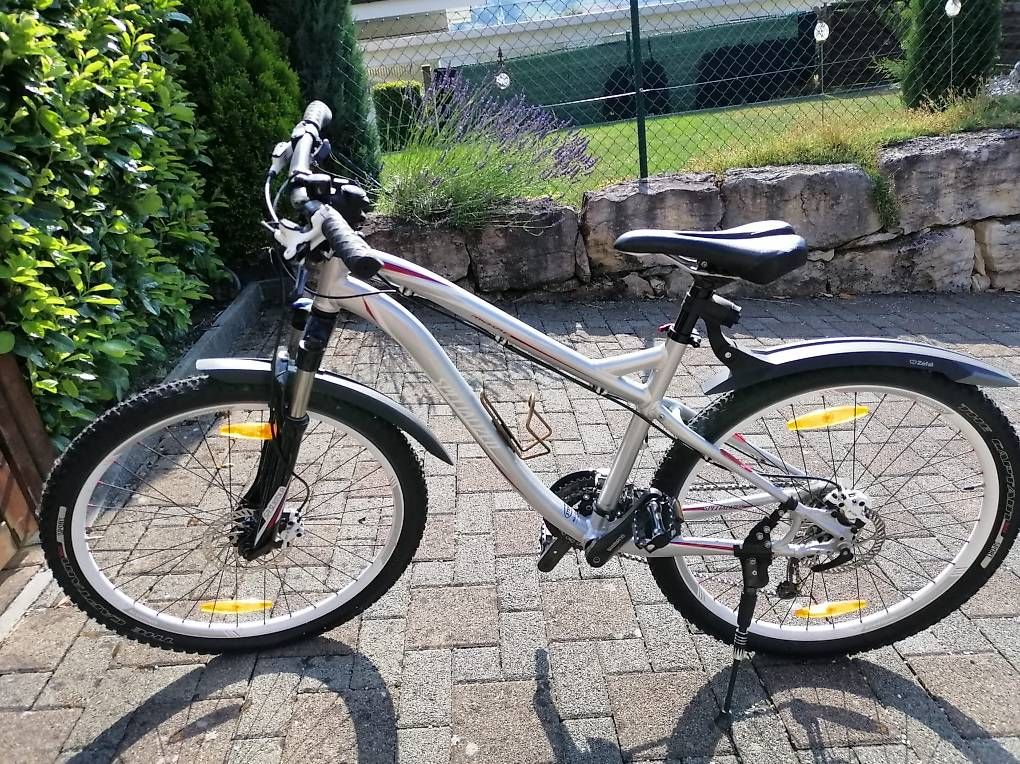 Velos: Specialized Bike velo – Gebraucht aus Reinach von Lenal001