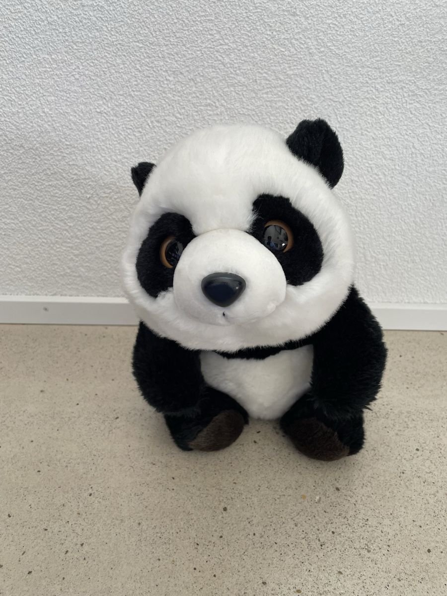 Giocattoli: Süsser Pandabär Plüschtier – Usato da Elgg venduto da jas_deb39 1