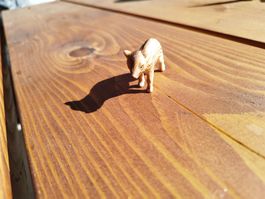 Schleich Tiere